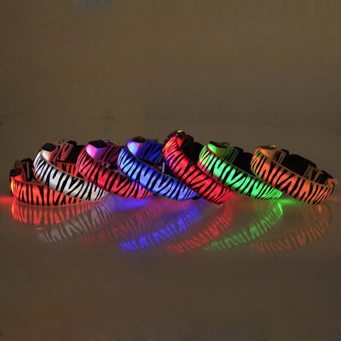 LED Dog Collar w/ Zebra Pattern