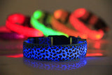 Leopard LED Safety Dog Collar